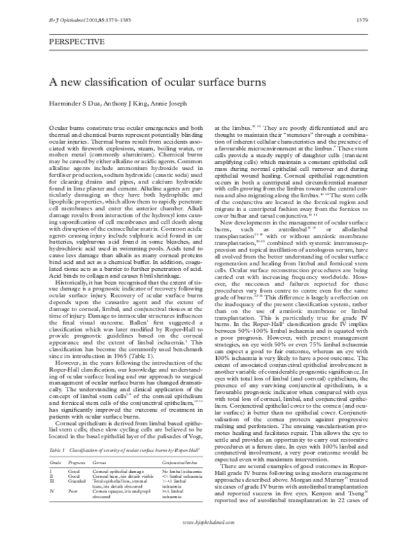 Four types of burns picture