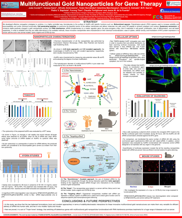 (PDF) Multifunctional Gold Nanoparticles for Gene Therapy