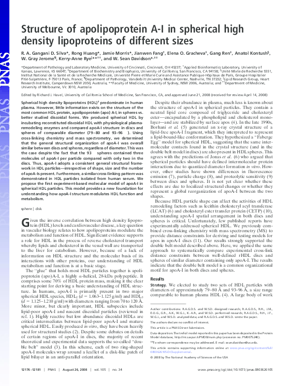 (PDF) Structure of apolipoprotein A-I in spherical high density ...