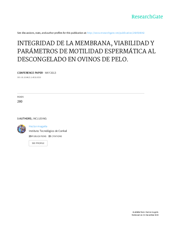 3 unidades Profi C sierra cadena 3//8p 1.1 mm 56 TG low perfil 40 cm cadena de sustitución