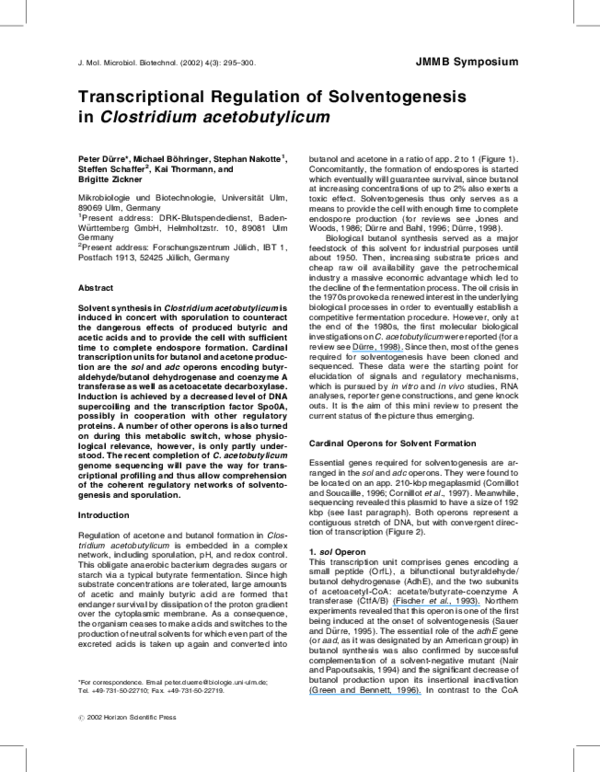 (PDF) Transcriptional regulation of solventogenesis in Clostridium ...
