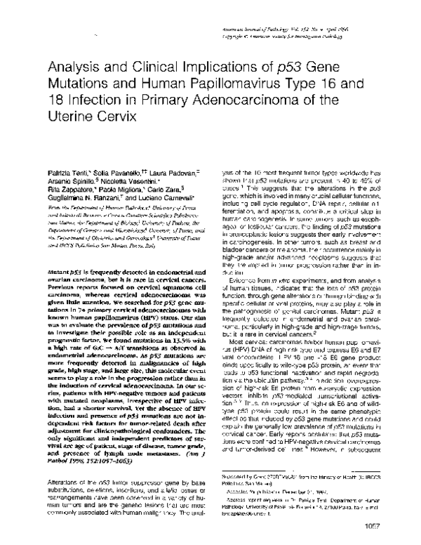(PDF) Analysis and clinical implications of p53 gene mutations and ...