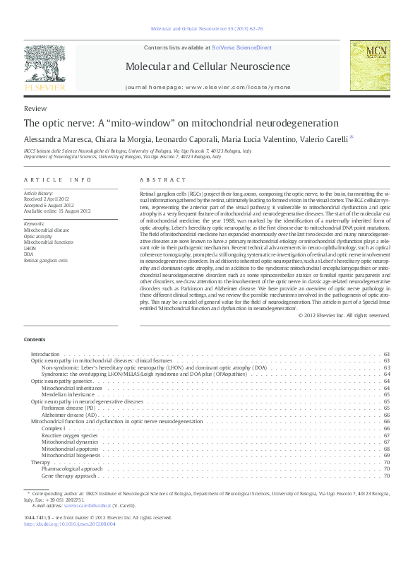Pdf The Optic Nerve A Mito Window On Mitochondrial Neurodegeneration