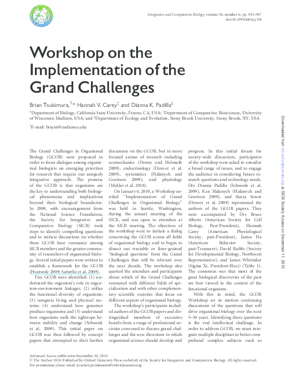 (PDF) Workshop on the Implementation of the Grand Challenges