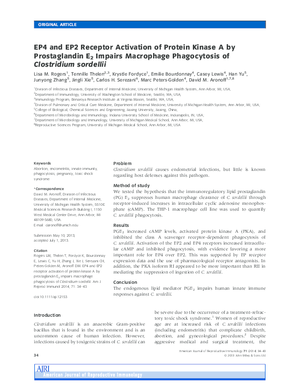(PDF) EP4 and EP2 Receptor Activation of Protein Kinase A by ...