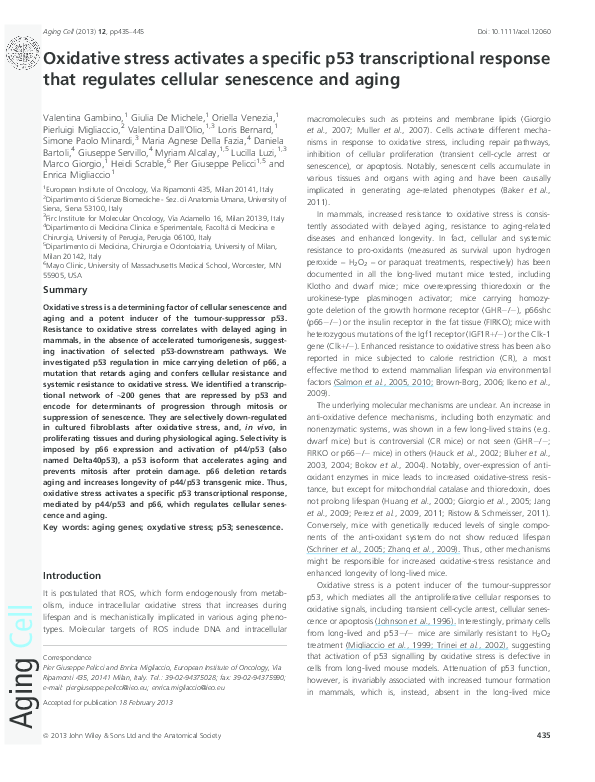 (PDF) Oxidative stress activates a specific p53 transcriptional ...