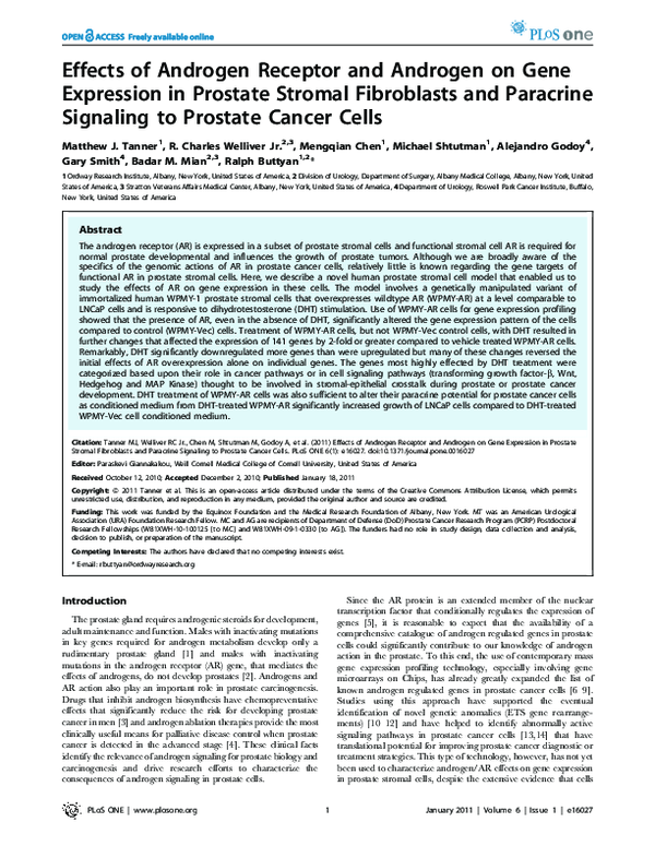 (PDF) Effects of Androgen Receptor and Androgen on Gene Expression in ...
