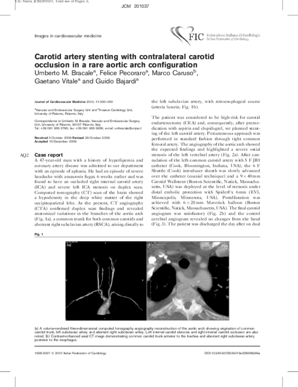 (PDF) Carotid artery stenting with contralateral carotid occlusion in a ...