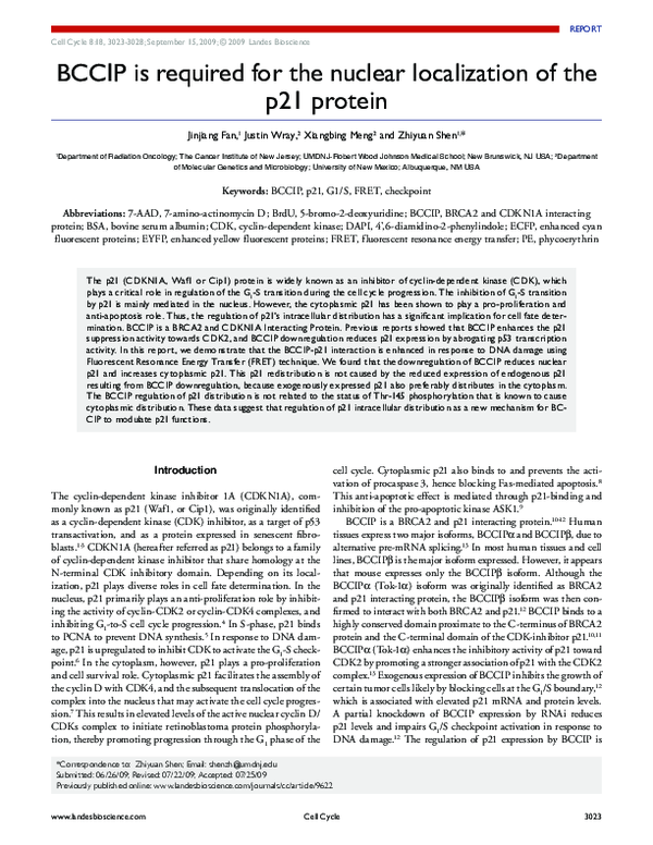 (PDF) BCCIP is required for the nuclear localization of the p21 protein