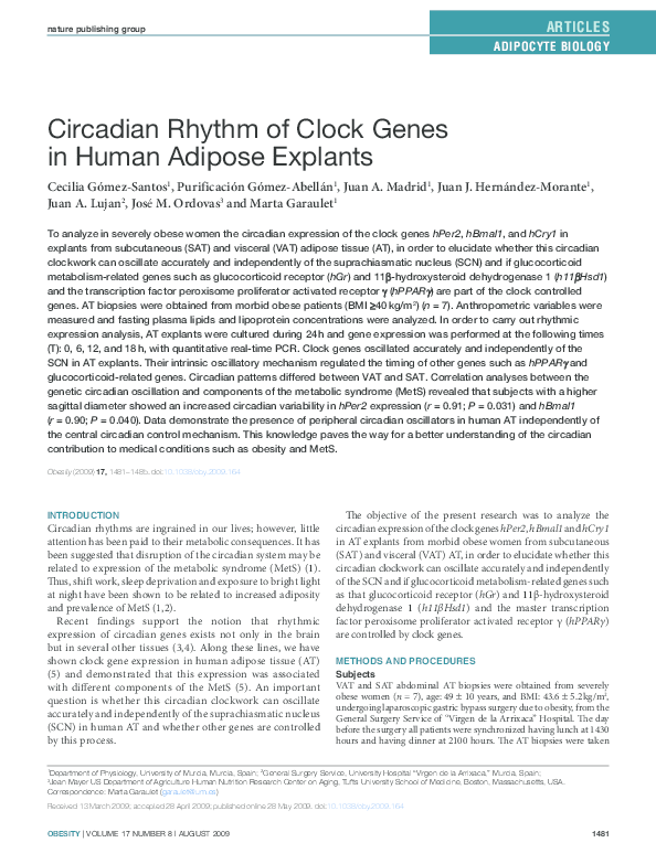(PDF) Circadian Rhythm of Clock Genes in Human Adipose Explants