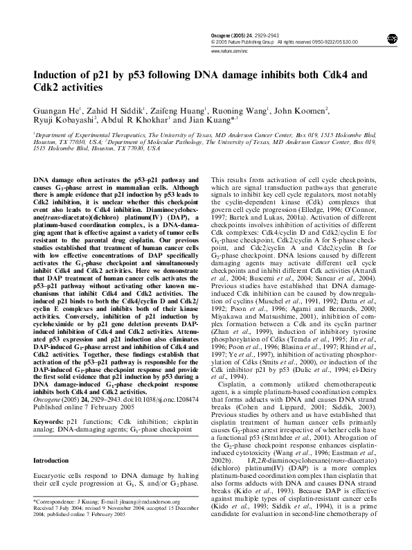 (PDF) Induction of p21 by p53 following DNA damage inhibits both Cdk4 ...