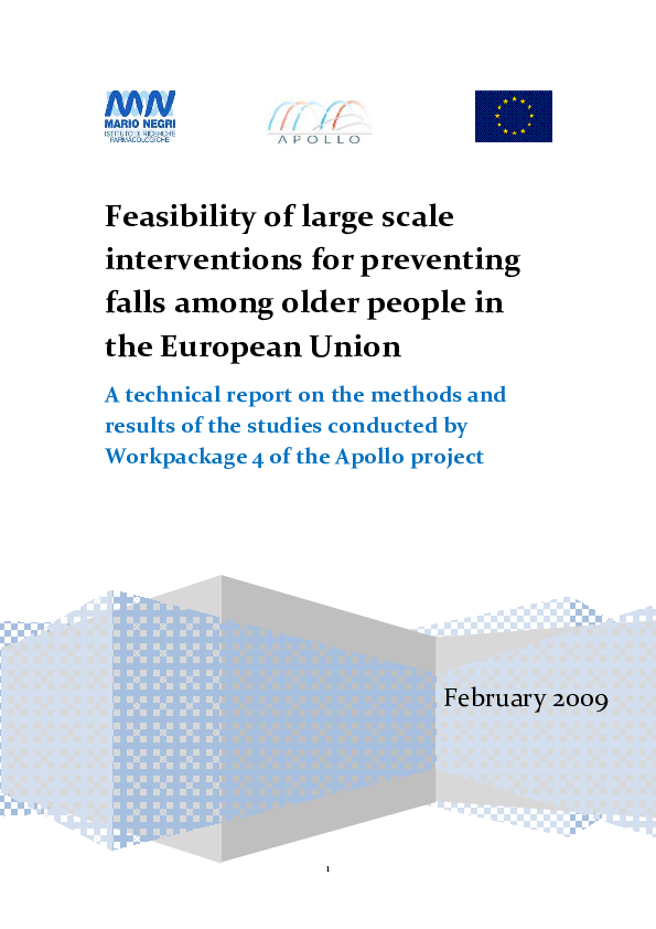 Working Package Four: Development and assessment of strategic materials for implementation of recommendations for preventing falls among elderly people in the EU