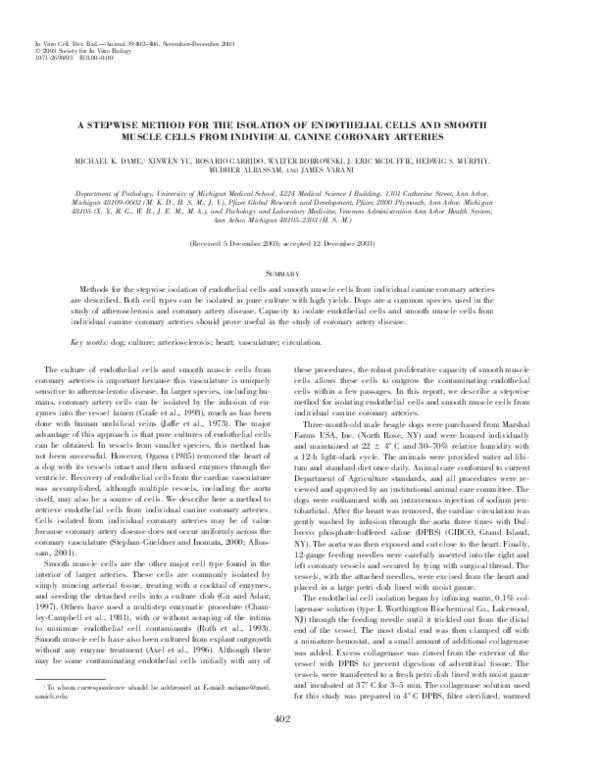 Impact of social isolation due to covid-19 picture