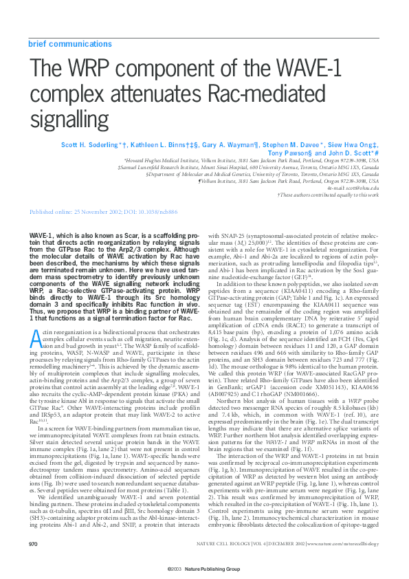 (PDF) The WRP component of the WAVE-1 complex attenuates Rac-mediated ...