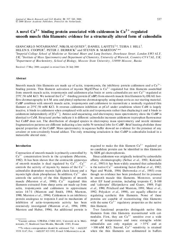 Essay on calmodulin picture