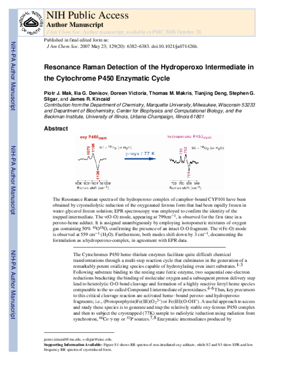 (PDF) Resonance Raman Detection of the Hydroperoxo Intermediate in the ...