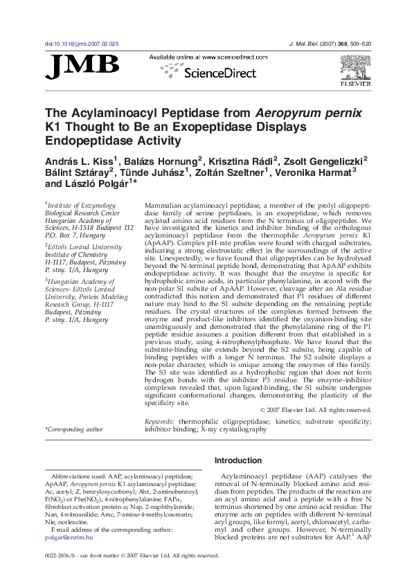 Aeropyrum pernix essay 05 picture