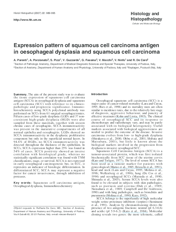 (PDF) Expression pattern of squamous cell carcinoma antigen in ...