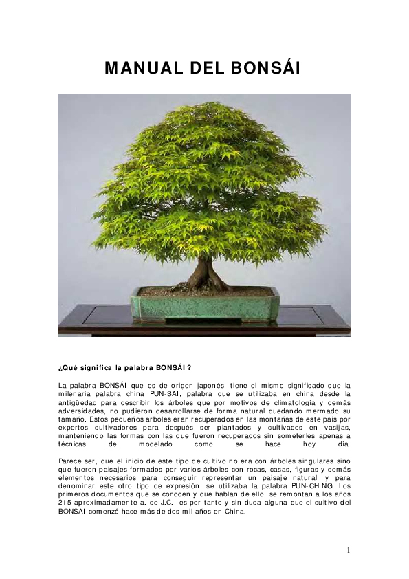 IL GRANDE MANUALE DEL BONSAI PDF visual data 8