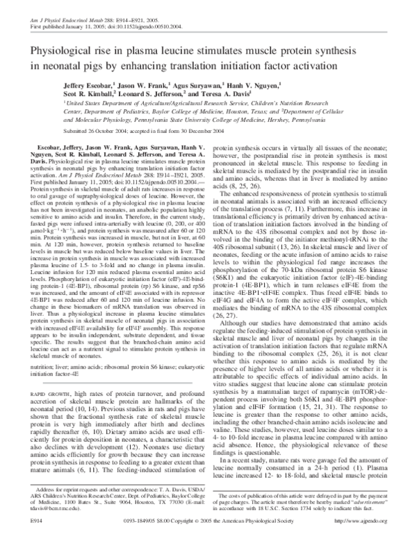 (PDF) Physiological rise in plasma leucine stimulates muscle protein ...