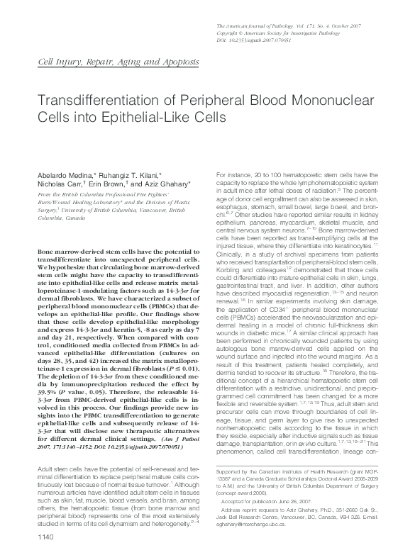 (PDF) Transdifferentiation of Peripheral Blood Mononuclear Cells into ...