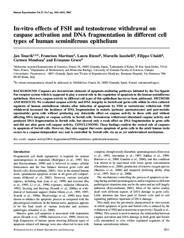 (PDF) In-vitro effects of FSH and testosterone withdrawal on caspase ...