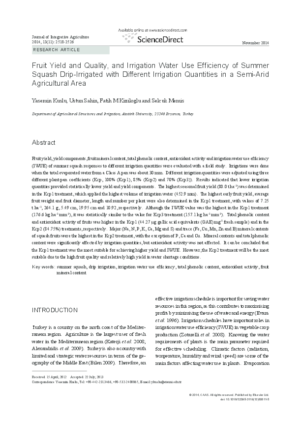 Pumpkin research paper picture