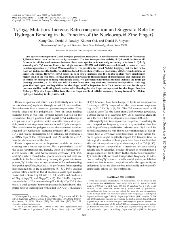 (PDF) Ty5 gag Mutations Increase Retrotransposition and Suggest a Role