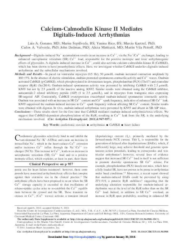(PDF) CalciumCalmodulin Kinase II Mediates DigitalisInduced