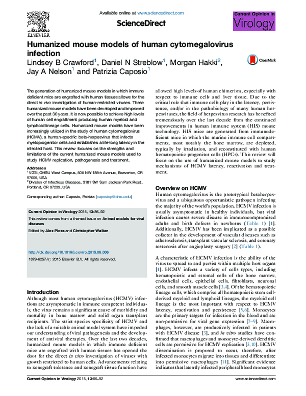 (PDF) Humanized mouse models of human cytomegalovirus infection