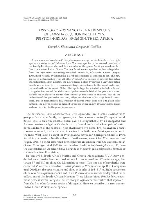 (PDF) Pristiophorus Nancyae, a New Species of Sawshark (Chondrichthyes