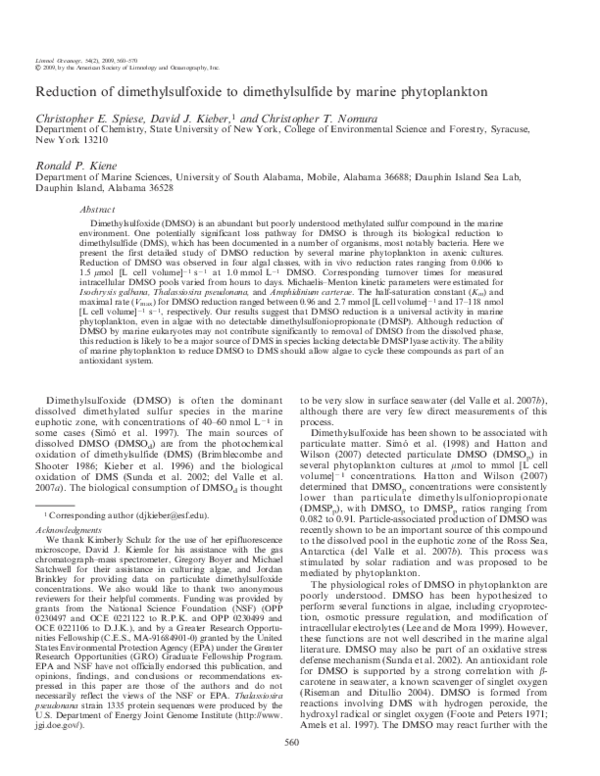 Side effects of marine phytoplankton picture