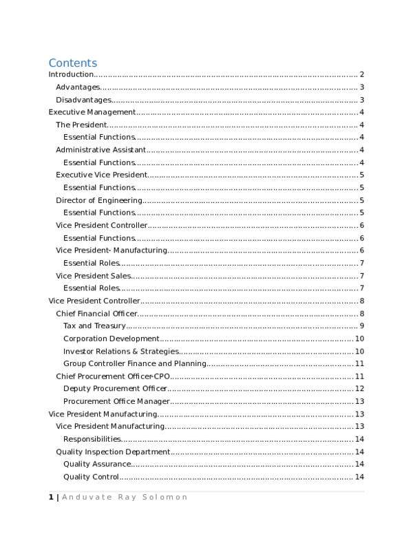 (DOC) Hybrid Organizational Structure