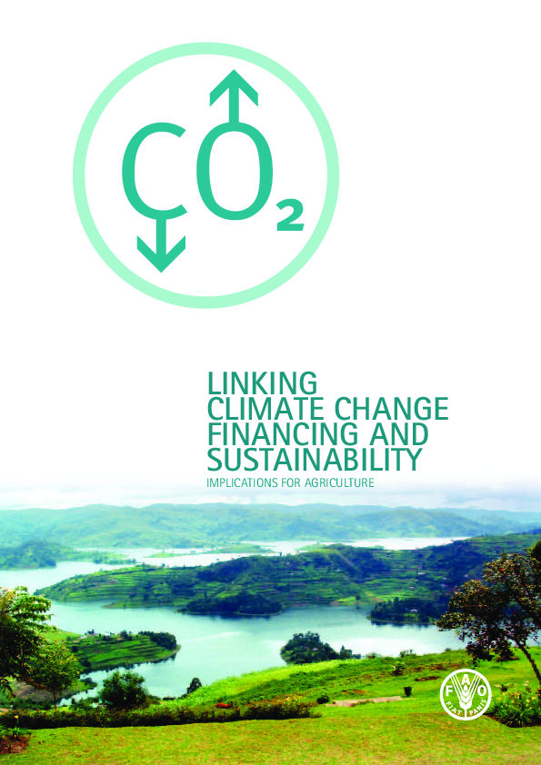 (PDF) LINKING CLIMATE CHANGE FINANCING AND SUSTAINABILITY