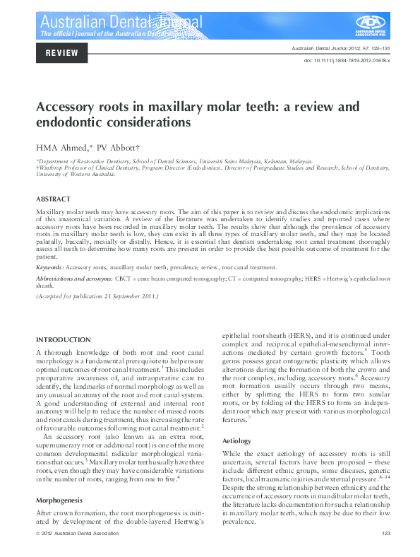 (PDF) Accessory roots in maxillary molar teeth: a review and endodontic ...