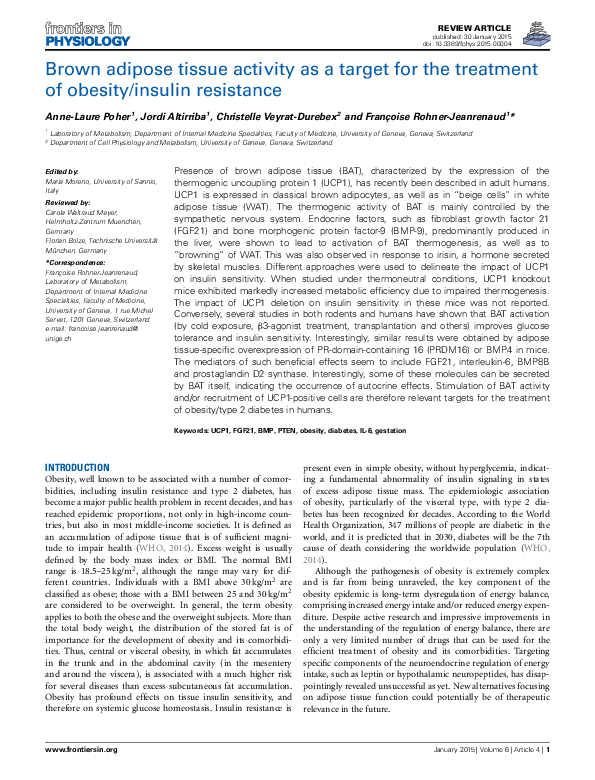 (PDF) Brown adipose tissue activity as a target for the treatment of ...