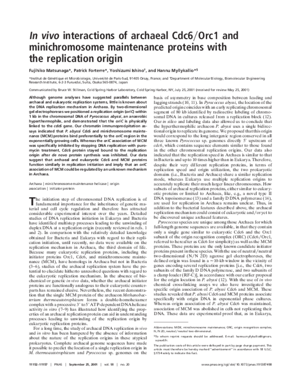 Essay on minichromosome 03 picture