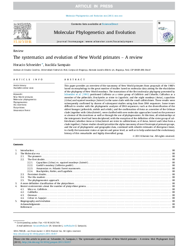 (PDF) The systematics and evolution of New World primates – A review