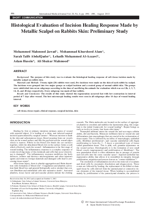 Rabbit description for kindergarten picture