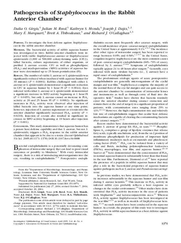 (PDF) Pathogenesis of Staphylococcus in the Rabbit Anterior Chamber