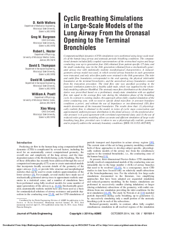 (PDF) Cyclic Breathing Simulations in Large Scale Models of the Lung ...