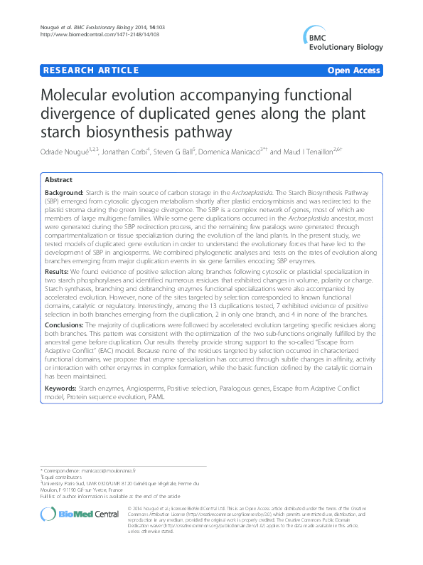 (PDF) Molecular evolution accompanying functional divergence of ...