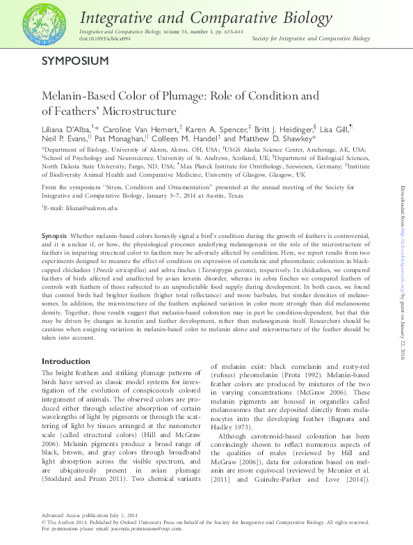 Melanin essays 08 image