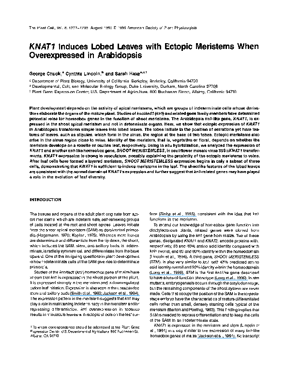 (PDF) KNAT1 Induces Lobed Leaves with Ectopic Meristems When ...