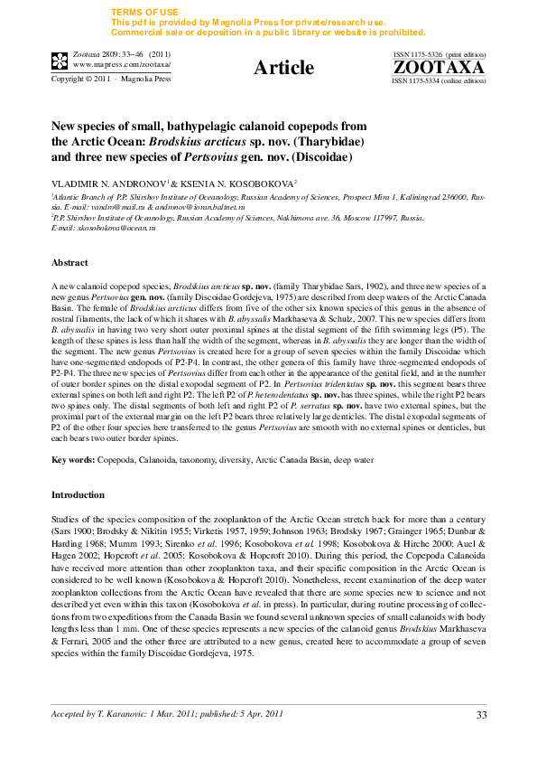 (PDF) New species of small, bathypelagic calanoid copepods from the ...