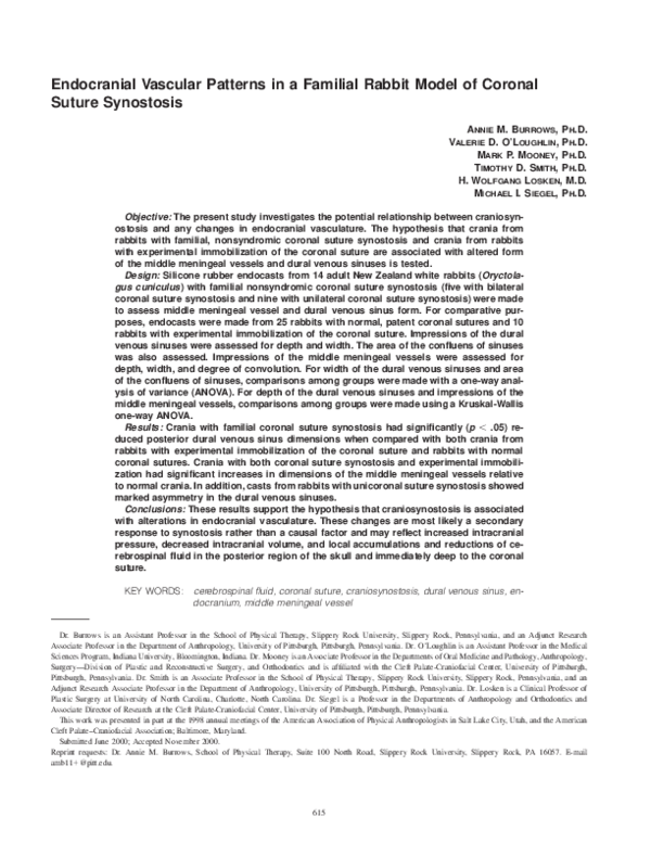 (PDF) Endocranial Vascular Patterns in a Familial Rabbit Model of ...