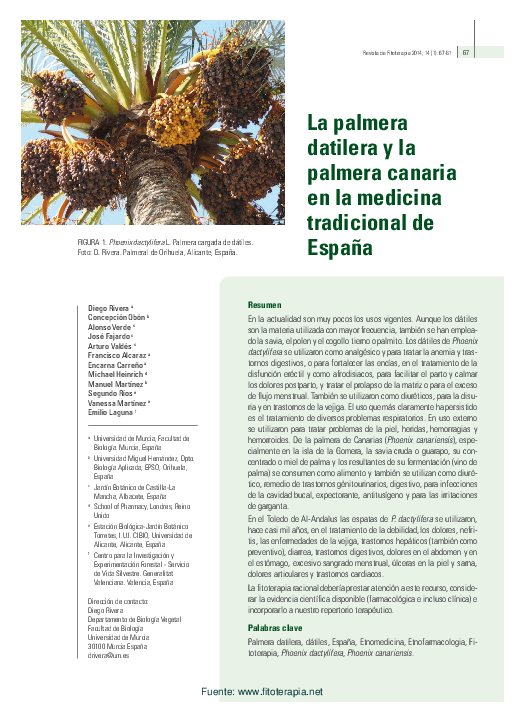 (PDF) La palmera datilera y la palmera canaria en la medicina