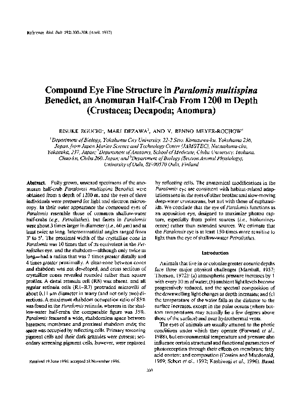 (PDF) Compound Eye Fine Structure in Paralomis multispina Benedict, an