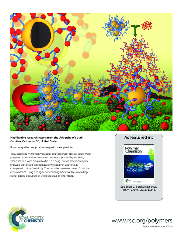 (PDF) Polymer grafted recyclable magnetic nanoparticles