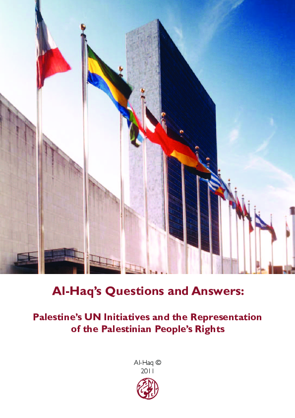 (PDF) Palestine's UN Initiatives and the Representation of the